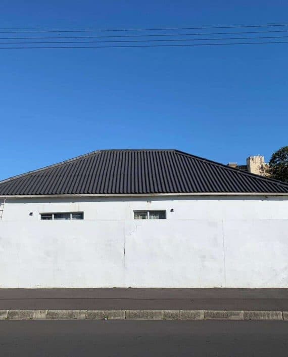 Roof Painting